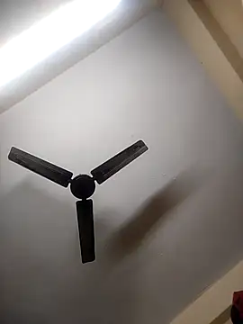 Snapshot of Devi-with-Ram chatting on 10/08/25, 09:22 Devi-with-Ram online show from 10/08/25, 09:22