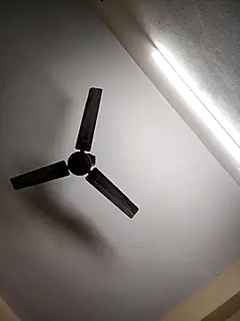 Snapshot of Devi-with-Ram chatting on 11/18/25, 06:17 Devi-with-Ram online show from 11/18/25, 06:17