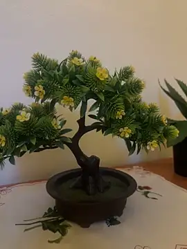 Michel huge online show from 12/18/25, 06:07