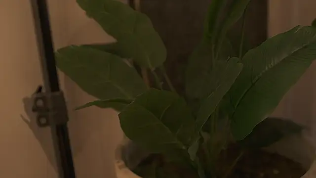 Ariaa Isabell online show from 09/12/25, 06:29