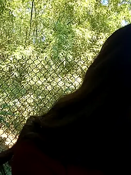 dimny sex online show from 11/28/25, 03:17