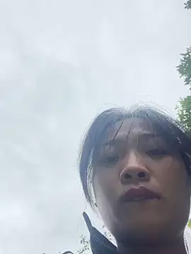 Phayphay77 online show from 12/17/25, 02:05