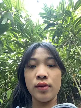 Phayphay77 online show from 11/25/25, 01:06