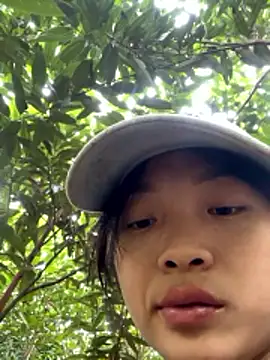 Phayphay77 online show from 11/17/25, 02:48