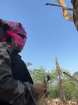 Phayphay77 online show from 11/15/25, 08:18