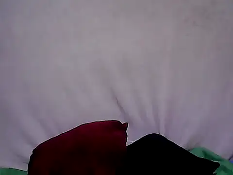 sh1nbae online show from 09/23/25, 10:22