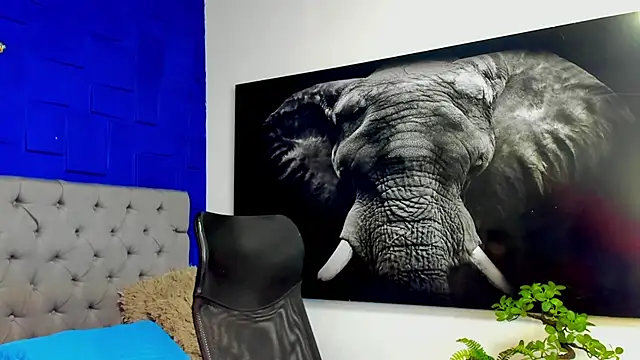 andres-clark92 online show from 03/02/26, 05:20