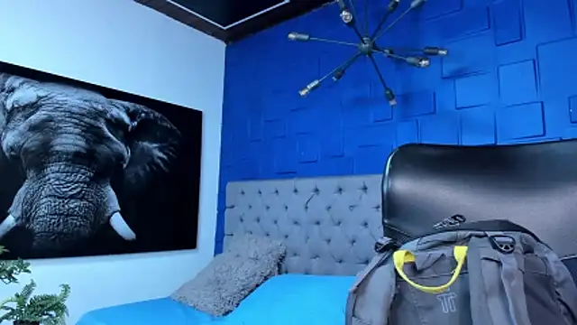 andres-clark92 online show from 02/11/26, 04:51