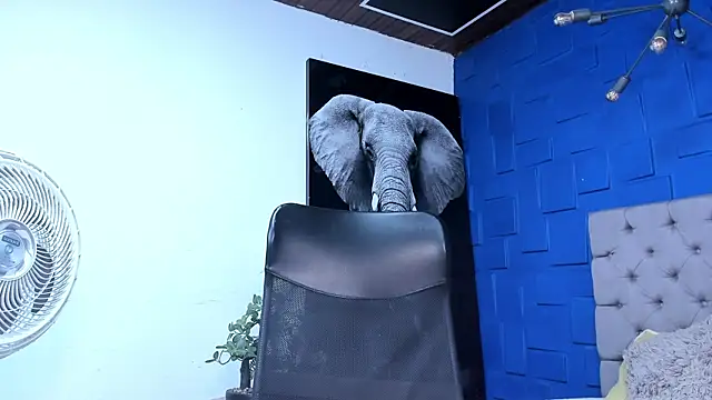 Snapshot of andres-clark92 chatting on 11/02/25, 05:29 andres-clark92 online show from 11/02/25, 05:29