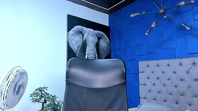 Snapshot of andres-clark92 chatting on 10/26/25, 06:19 andres-clark92 online show from 10/26/25, 06:19