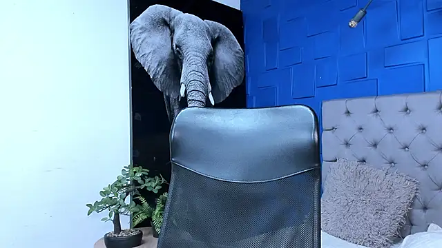 Snapshot of andres-clark92 chatting on 10/27/25, 06:31 andres-clark92 online show from 10/27/25, 06:31