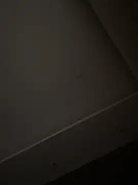 Snapshot of ALANNFERRER chatting on 11/01/25, 10:42 ALANNFERRER online show from 11/01/25, 10:42