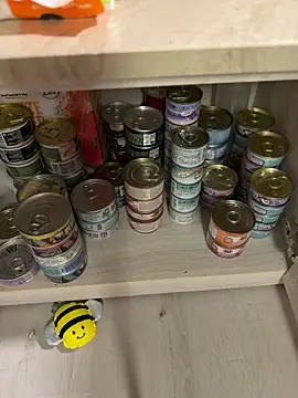 Etherealcat33 online show from 04/03/26, 02:34