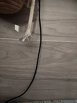 Tan32 11 online show from 01/14/26, 05:22