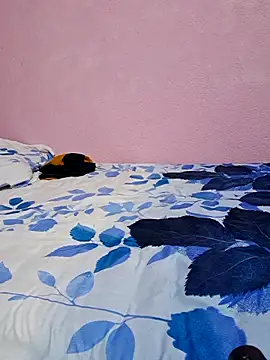 Snapshot of tharki-anand chatting on 02/27/26, 06:52 tharki-anand online show from 02/27/26, 06:52