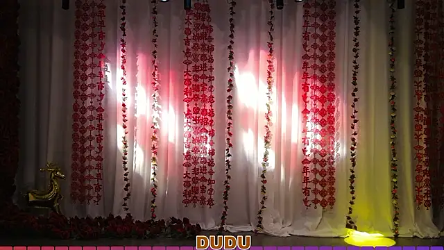 yznt-dudu online show from 03/28/26, 04:13