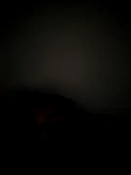 daliataleboficiall online show from 11/18/25, 02:53