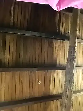 teluguvarsha online show from 04/09/26, 08:42