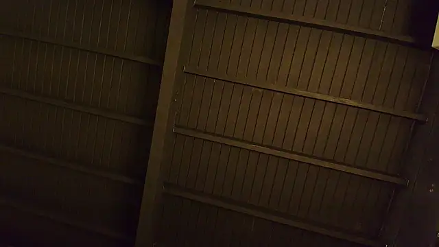 lilyth bloom online show from 12/15/25, 12:44