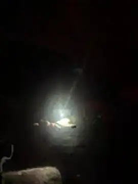 slicksdick25 online show from 04/03/26, 09:32