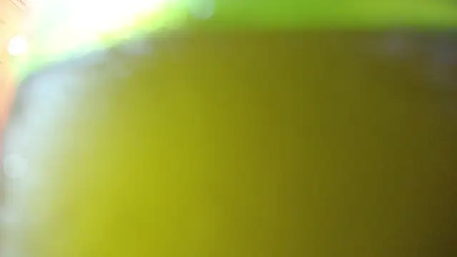 bloom bbc online show from 10/24/25, 01:10