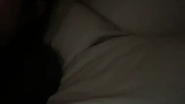 dddasani online show from 01/17/26, 04:32