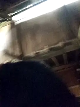 Bianly online show from 04/16/26, 09:32