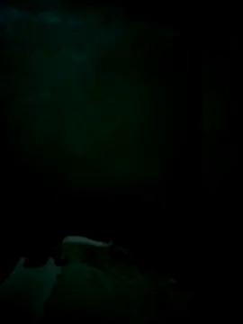 CrepedTrek online show from 11/26/25, 06:19