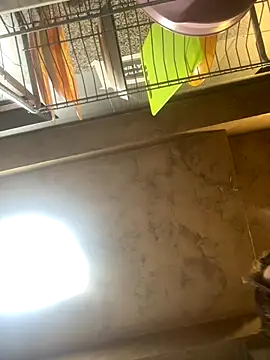 Anyssia online show from 12/01/25, 05:08