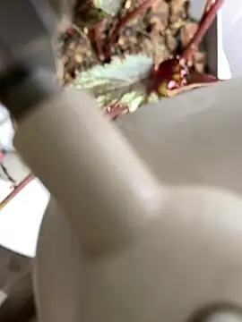 Jonny Agatha online show from 03/03/26, 12:34