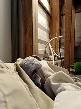 ShawnandDani7074 online show from 02/17/26, 11:35