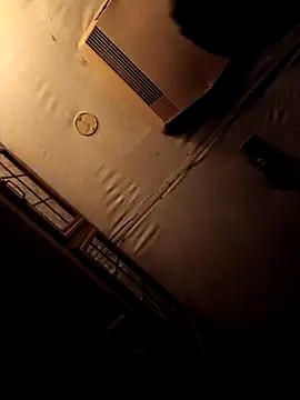 ShawnandDani7074 online show from 02/04/26, 05:46