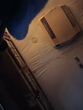 ShawnandDani7074 online show from 05/29/26, 08:09