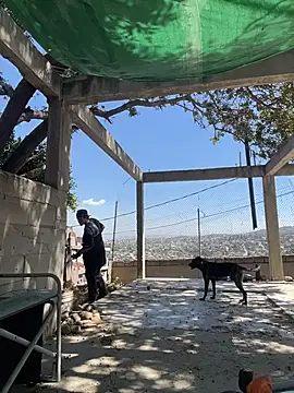 Shankortiz online show from 04/06/26, 09:16