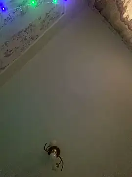 missevacrystal online show from 11/07/25, 11:48