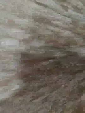 cenk263 online show from 12/16/25, 03:49