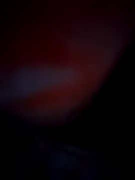 Exotic-bhabhi online show from 10/10/25, 08:53