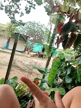 Lily-o online show from 12/16/25, 03:16