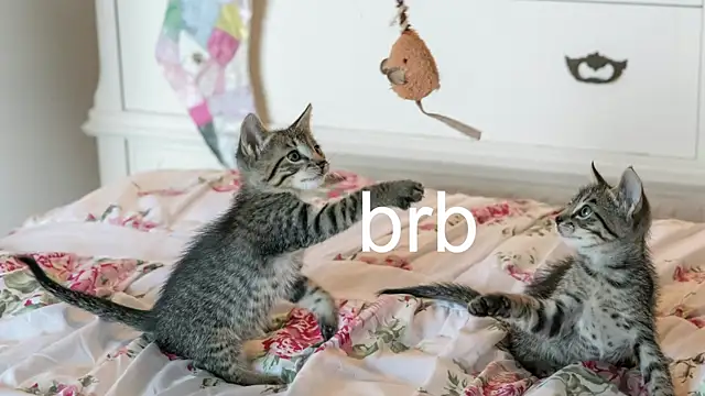 Pink girl0n online show from 11/17/25, 07:07