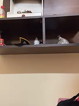 modelnishu online show from 04/09/26, 06:19