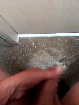 fepintudo online show from 11/29/25, 08:09