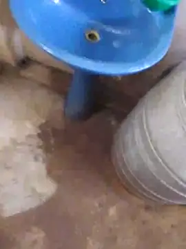 Pogga666 online show from 11/09/25, 05:33