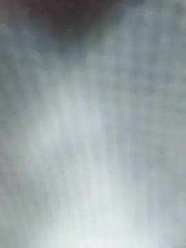 Reina Cummings online show from 04/05/26, 05:14