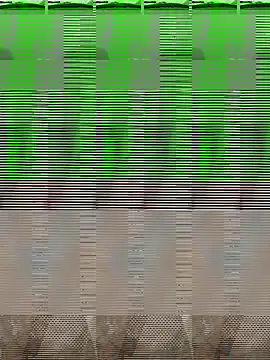 bigDick 000610 online show from 10/31/25, 05:09