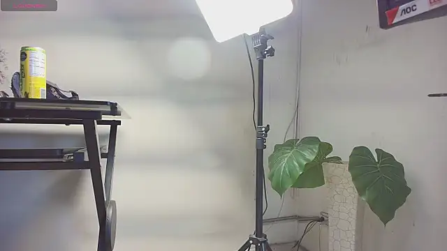 sakuramoss online show from 10/24/25, 06:45