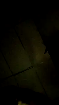 Bosssweet22cm online show from 03/18/26, 12:14