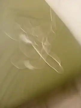 lameraverja123 online show from 11/08/25, 11:08