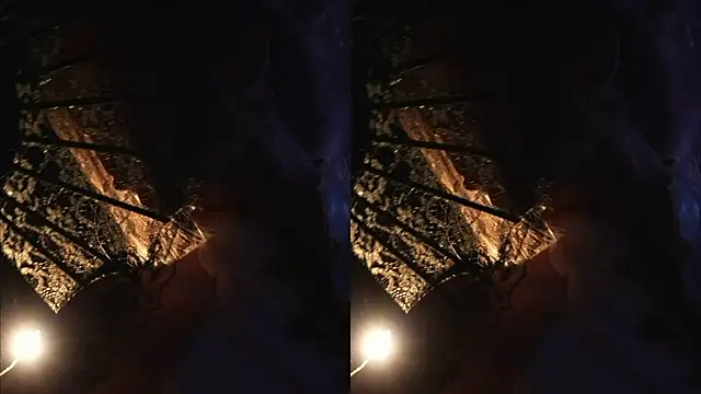 Snapshot of Alvuwkaa chatting on 10/28/25, 08:24 Alvuwkaa online show from 10/28/25, 08:24