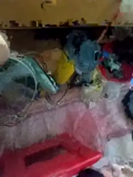 mytran16xh online show from 04/12/26, 02:20