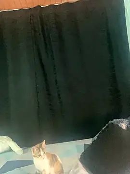 EVAH LEE  online show from 09/23/25, 01:12